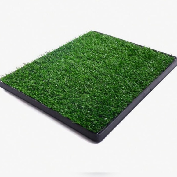 Dog Grass Mat for potty training - Picture 2 of 3